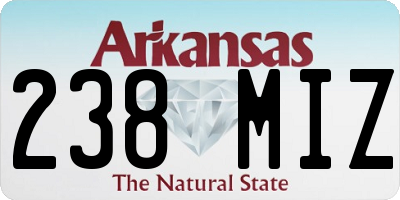 AR license plate 238MIZ