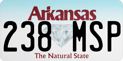 AR license plate 238MSP