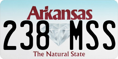 AR license plate 238MSS