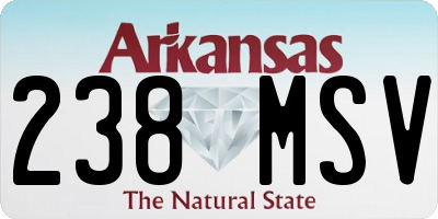 AR license plate 238MSV