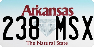 AR license plate 238MSX