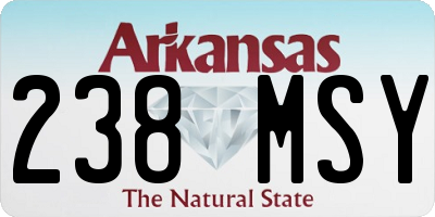 AR license plate 238MSY