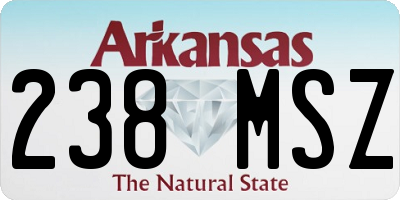 AR license plate 238MSZ