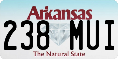 AR license plate 238MUI