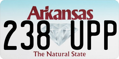 AR license plate 238UPP