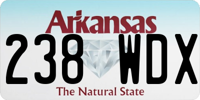 AR license plate 238WDX