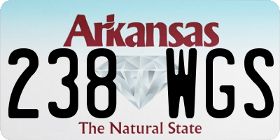 AR license plate 238WGS