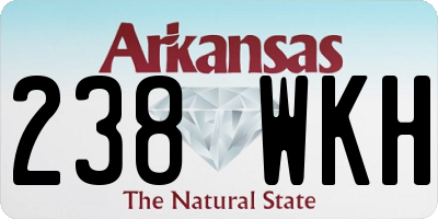 AR license plate 238WKH