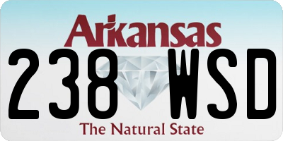 AR license plate 238WSD