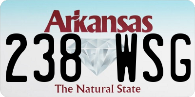 AR license plate 238WSG