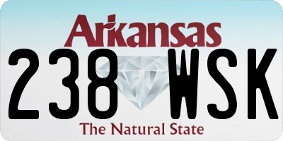 AR license plate 238WSK