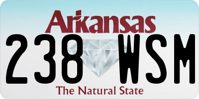 AR license plate 238WSM