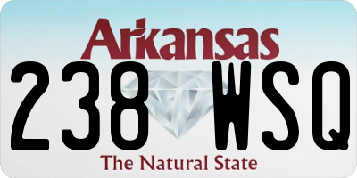 AR license plate 238WSQ