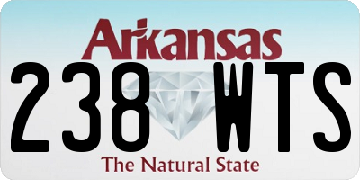 AR license plate 238WTS