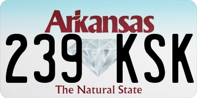 AR license plate 239KSK