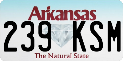 AR license plate 239KSM