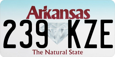 AR license plate 239KZE