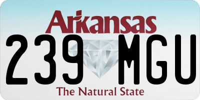 AR license plate 239MGU