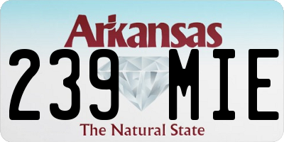 AR license plate 239MIE
