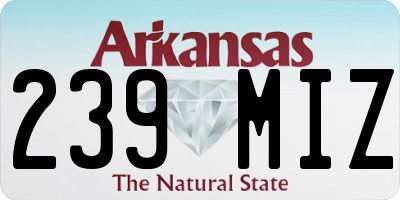 AR license plate 239MIZ