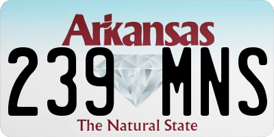 AR license plate 239MNS