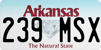 AR license plate 239MSX