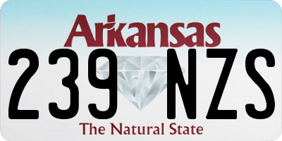 AR license plate 239NZS