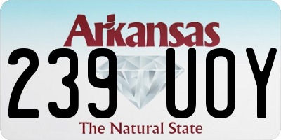 AR license plate 239UOY