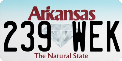 AR license plate 239WEK