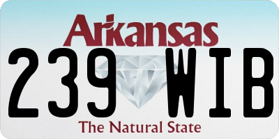 AR license plate 239WIB