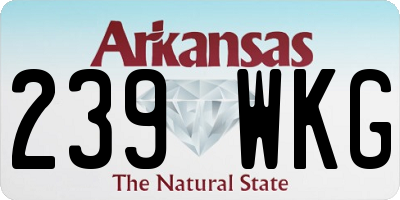 AR license plate 239WKG