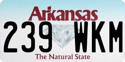 AR license plate 239WKM
