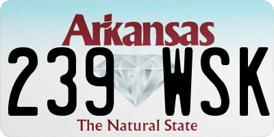 AR license plate 239WSK