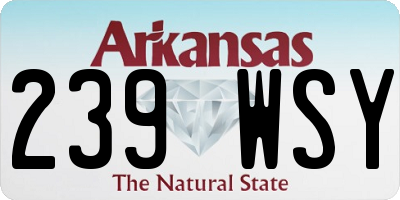 AR license plate 239WSY
