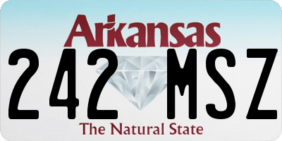 AR license plate 242MSZ