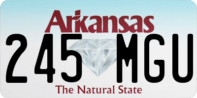AR license plate 245MGU