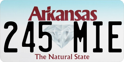AR license plate 245MIE