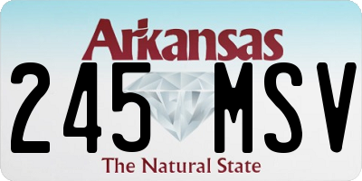 AR license plate 245MSV