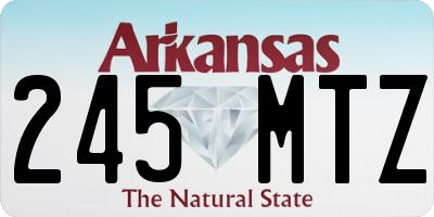 AR license plate 245MTZ