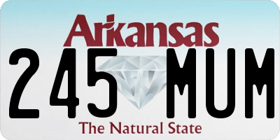 AR license plate 245MUM