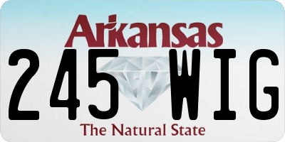 AR license plate 245WIG