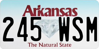 AR license plate 245WSM