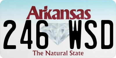 AR license plate 246WSD