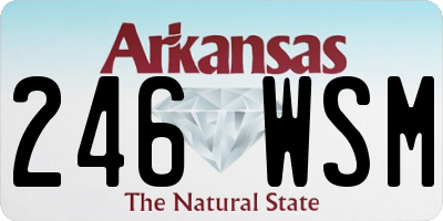 AR license plate 246WSM