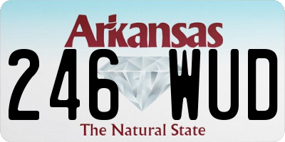 AR license plate 246WUD