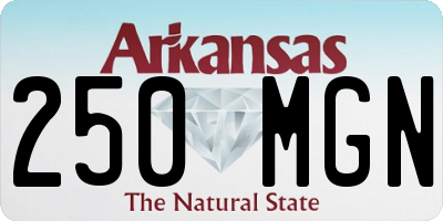 AR license plate 250MGN