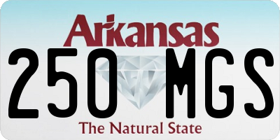 AR license plate 250MGS