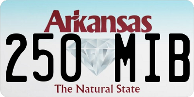 AR license plate 250MIB