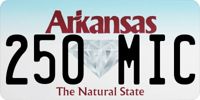 AR license plate 250MIC