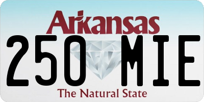 AR license plate 250MIE
